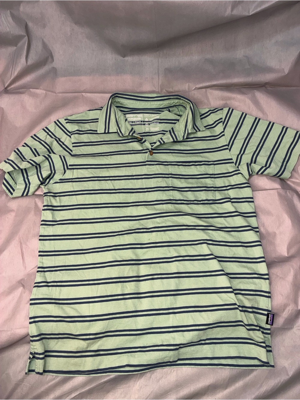 Patagonia Mint Green and Navy Striped Tee